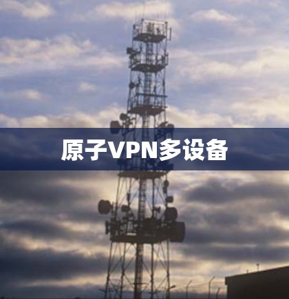 原子VPN多设备