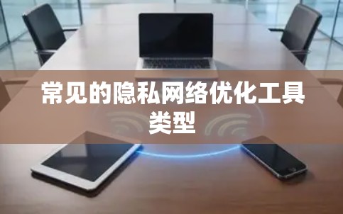常见的隐私网络优化工具类型