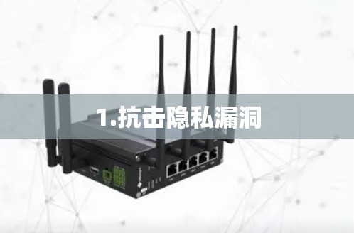 1.抗击隐私漏洞