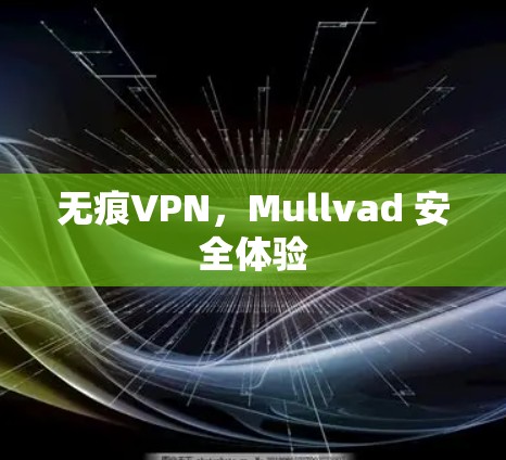无痕VPN,Mullvad 安全体验 无痕VPN,Mullvad 安全体验