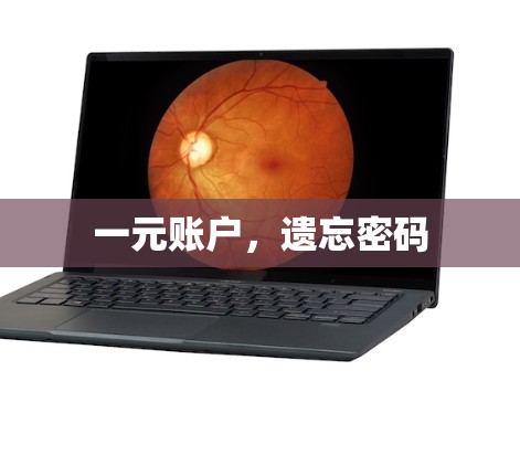 一元账户,遗忘密码 一元账户,遗忘密码