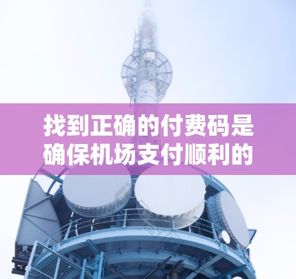 找到正确的付费码是确保机场支付顺利的关键步骤。以下是详细的指南