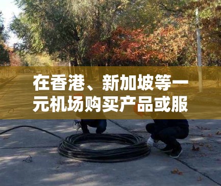 在香港、新加坡等一元机场购买产品或服务时,通常需要按照以下步骤进行 在香港、新加坡等一元机场购买产品或服务时,通常需要按照以下步骤进行