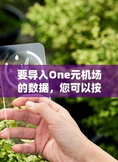 要导入One元机场的数据,您可以按照以下步骤进行操作 要导入One元机场的数据,您可以按照以下步骤进行操作