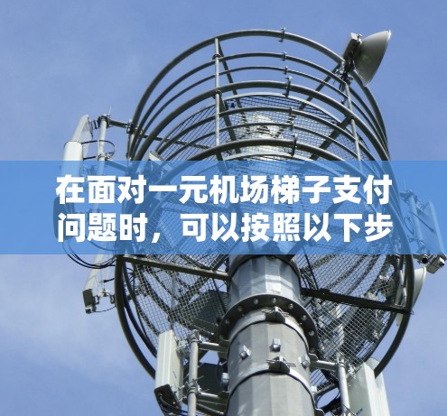 在面对一元机场梯子支付问题时,可以按照以下步骤进行处理 在面对一元机场梯子支付问题时,可以按照以下步骤进行处理
