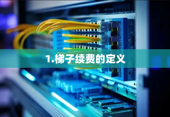 1.梯子续费的定义