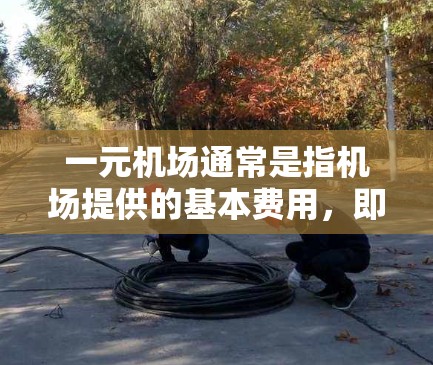 一元机场通常是指机场提供的基本费用，即每位乘客每小时1元。它并不是手机登录的问题，而是机场本身提供的服务。以下是一些可能的原因和解决方法