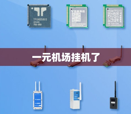 一元机场挂机了