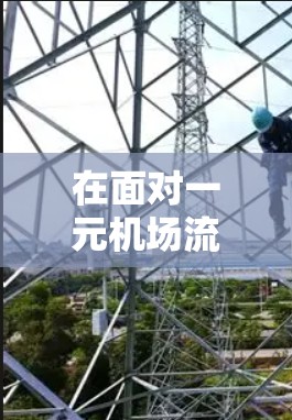 在面对一元机场流量重置的问题时,机场管理员可以通过以下步骤和建议来有效地恢复正常的飞行器数量 在面对一元机场流量重置的问题时,机场管理员可以通过以下步骤和建议来有效地恢复正常的飞行器数量
