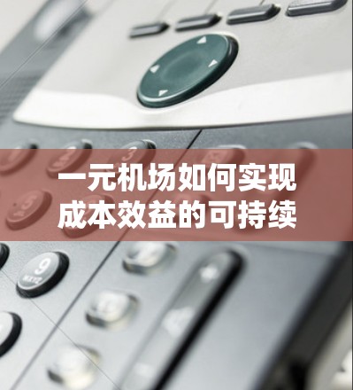 一元机场如何实现成本效益的可持续性? 一元机场如何实现成本效益的可持续性?
