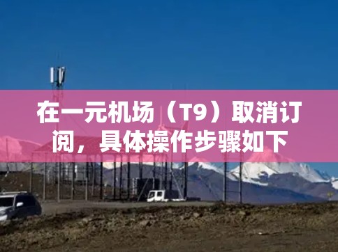 在一元机场(T9)取消订阅,具体操作步骤如下 在一元机场(T9)取消订阅,具体操作步骤如下