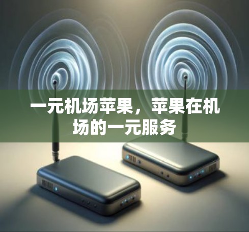 一元机场苹果，苹果在机场的一元服务