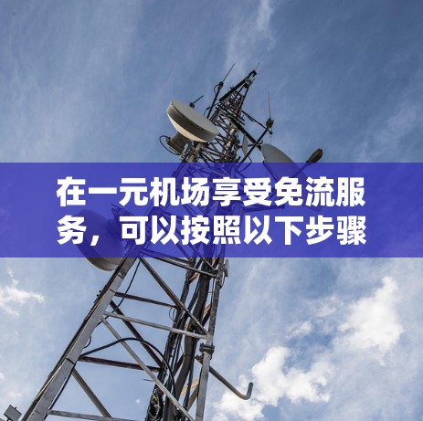 在一元机场享受免流服务,可以按照以下步骤操作 在一元机场享受免流服务,可以按照以下步骤操作