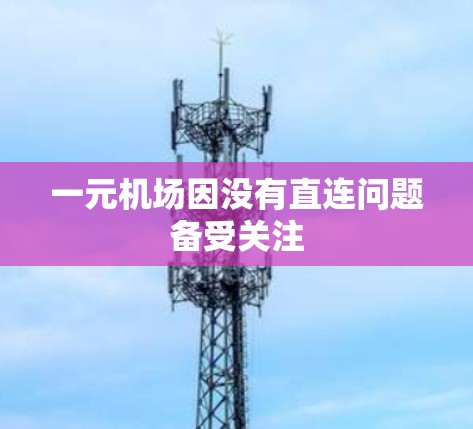 一元机场因没有直连问题备受关注