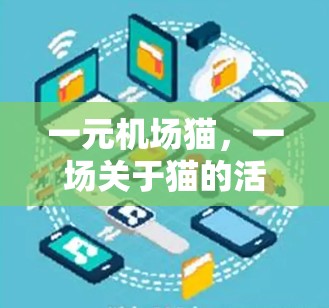 一元机场猫，一场关于猫的活动