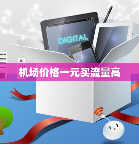 机场价格一元买流量高