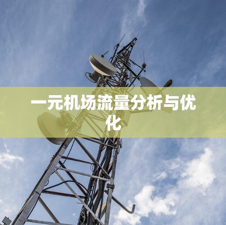 一元机场流量分析与优化