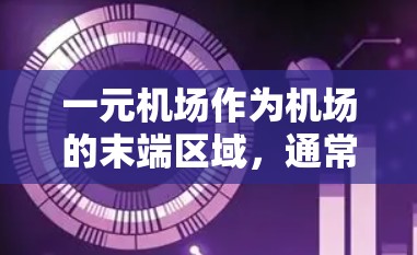 一元机场作为机场的末端区域，通常提供了一定数量的电子设备和简单的服务，帮助登机者顺利完成行程。以下是这些功能的详细描述