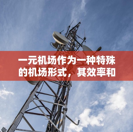一元机场作为一种特殊的机场形式，其效率和便利性取决于多个因素。以下是对一元机场的详细分析