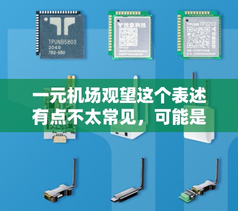 一元机场观望这个表述有点不太常见，可能是用户想了解机场的一个独特的景点或入口。如果是想参观某个特定的景点，或者了解机场的结构，我可以为你提供一些相关信息