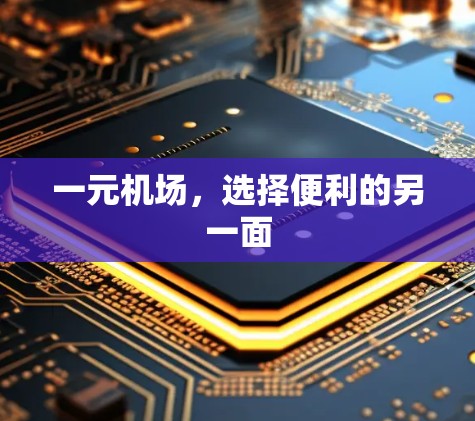 一元机场，选择便利的另一面