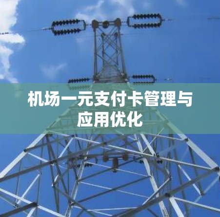 机场一元支付卡管理与应用优化