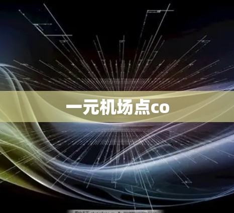 一元机场点co 一元机场点co