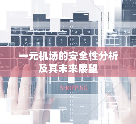 一元机场的安全性分析及其未来展望