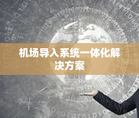 机场导入系统一体化解决方案 机场导入系统一体化解决方案