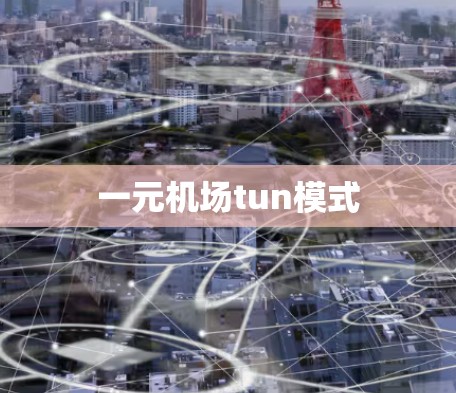一元机场tun模式