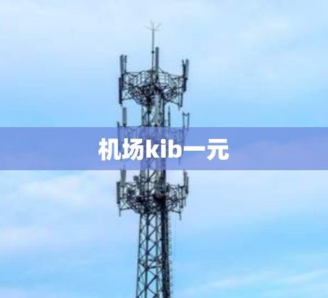 机场kib一元