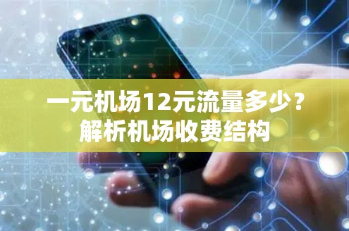 一元机场12元流量多少?解析机场收费结构 一元机场12元流量多少?解析机场收费结构