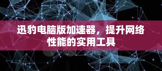 迅豹电脑版加速器，提升网络性能的实用工具