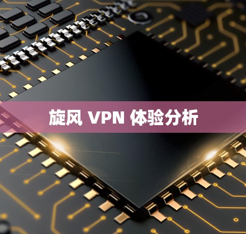 旋风 VPN 体验分析