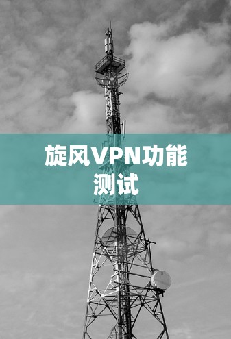 旋风VPN功能测试
