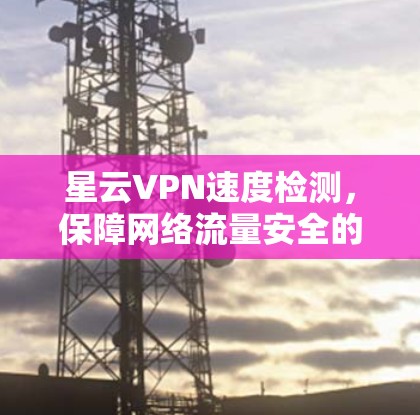星云VPN速度检测，保障网络流量安全的实用指南