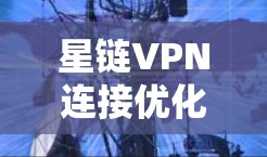 星链VPN连接优化，构建高效网络保障安全传输