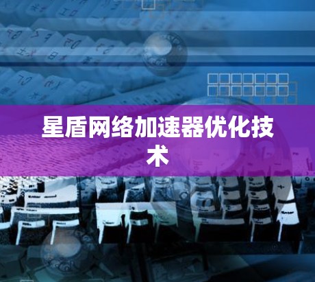 星盾网络加速器优化技术