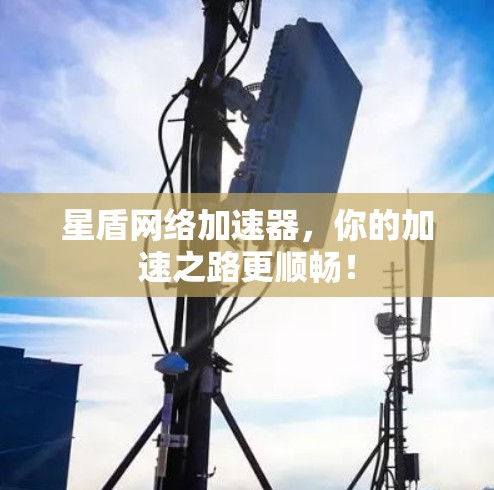 星盾网络加速器，你的加速之路更顺畅！