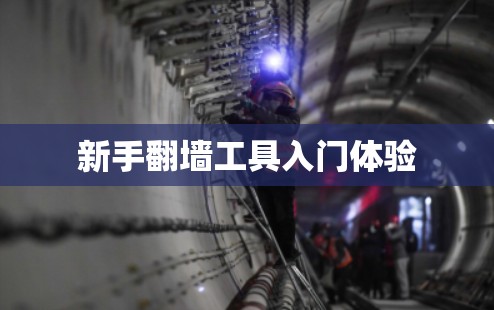 新手翻墙工具入门体验