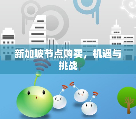 新加坡节点购买，机遇与挑战