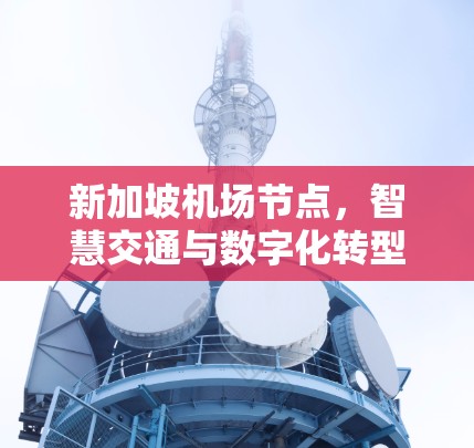 新加坡机场节点，智慧交通与数字化转型的创新