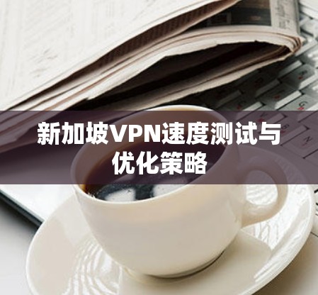 新加坡VPN速度测试与优化策略 新加坡VPN速度测试与优化策略
