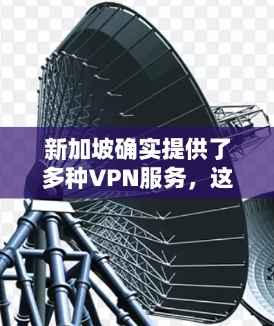 新加坡确实提供了多种VPN服务，这些服务主要集中在本地和国际网络上。新加坡是一个高度发达的国家，拥有丰富的互联网基础设施和网络安全能力，因此在国际上也有一定的影响力