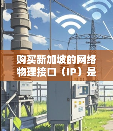 购买新加坡的网络物理接口（IP）是通过新加坡的网络管理机构（如新加坡国家网络管理局，简称NMA）进行的。以下是一些关于购买新加坡IP的步骤和信息