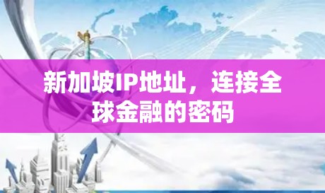 新加坡IP地址，连接全球金融的密码