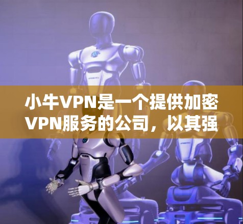小牛VPN是一个提供加密VPN服务的公司，以其强大的加密技术、高效的测速和丰富的服务器列表而闻名。以下是对小牛VPN的详细分析