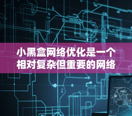 小黑盒网络优化是一个相对复杂但重要的网络维护任务，尤其对于那些隐藏在服务器背后的网站。以下是一些关键步骤，帮助你高效地优化小黑盒网络