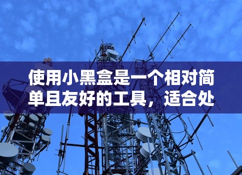 使用小黑盒是一个相对简单且友好的工具,适合处理多种文件和数据。下面是使用小黑盒的教程 使用小黑盒是一个相对简单且友好的工具,适合处理多种文件和数据。下面是使用小黑盒的教程