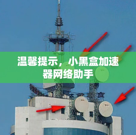 温馨提示，小黑盒加速器网络助手